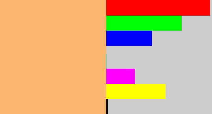 Hex color #fab66d - apricot