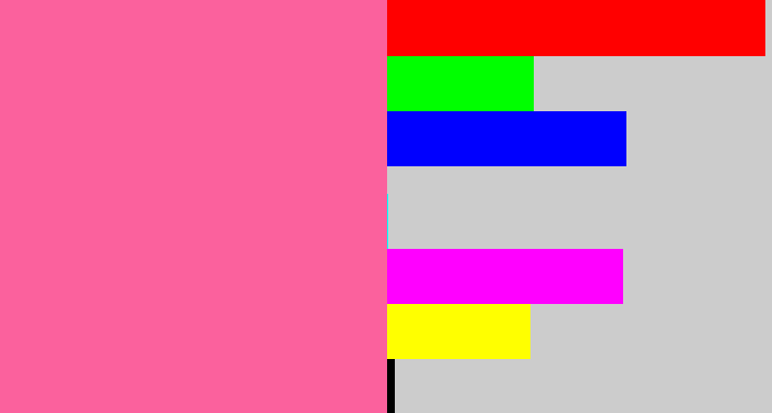 Hex color #fb619d - medium pink