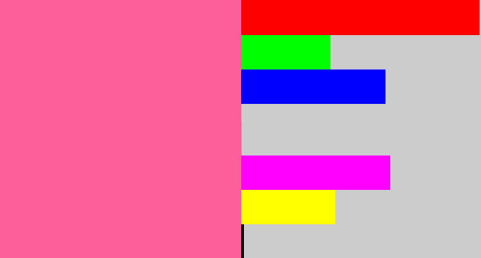 Hex color #fc5f99 - medium pink