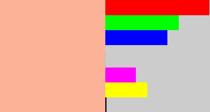 Hex color #fcb296 - pale salmon