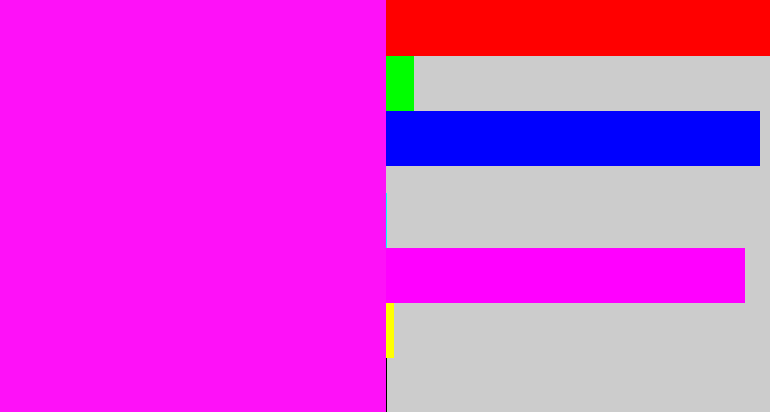 Hex color #fe11f8 - bright magenta