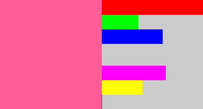 Hex color #fe5d98 - medium pink