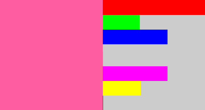 Hex color #fe5da1 - medium pink