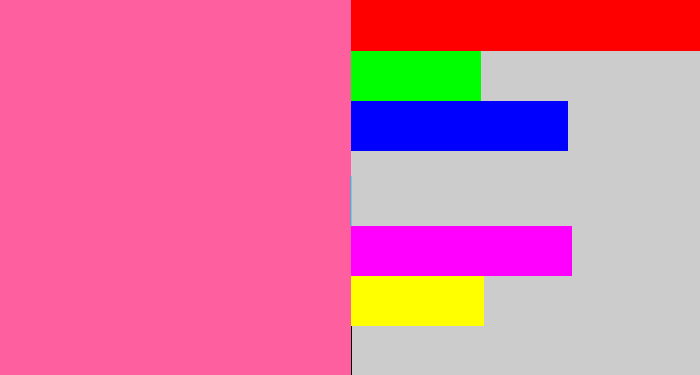 Hex color #fe5f9e - medium pink