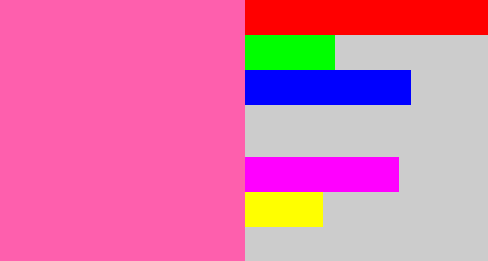 Hex color #fe5fad - bubble gum pink