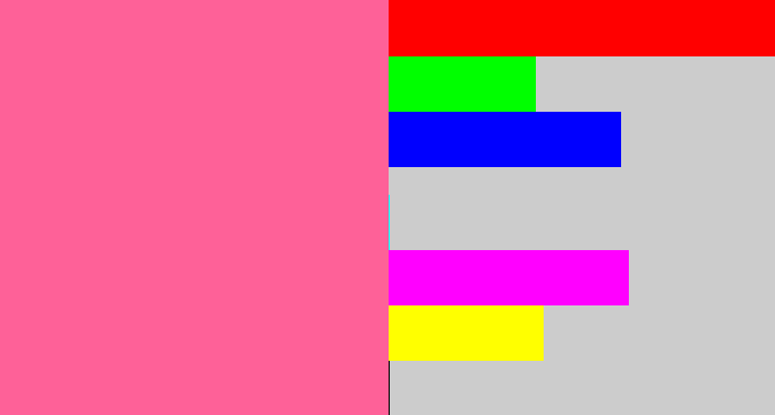 Hex color #fe6198 - medium pink