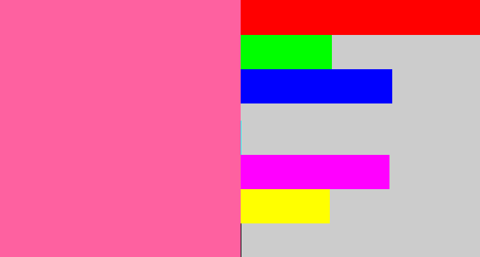 Hex color #fe61a0 - medium pink