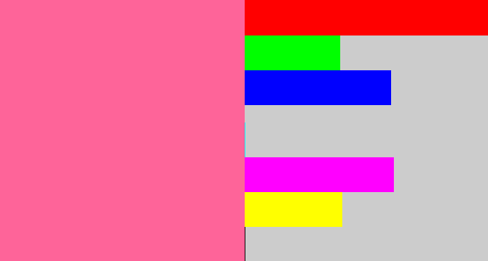 Hex color #fe6499 - medium pink