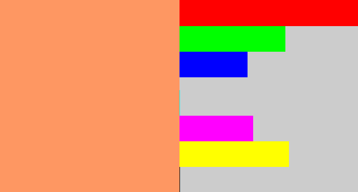 Hex color #fe9762 - pastel orange