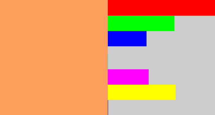 Hex color #fe9e5d - pale orange