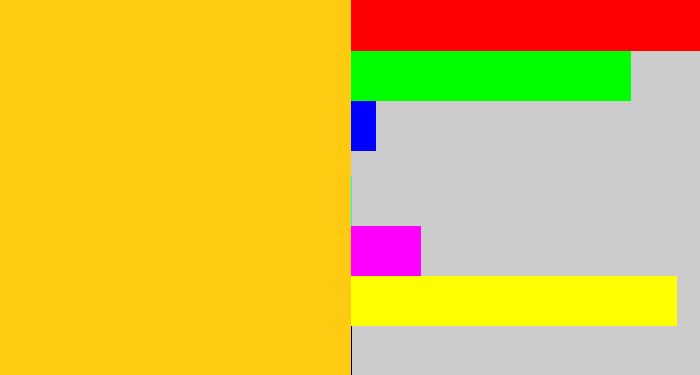 Hex color #fecb12 - golden yellow