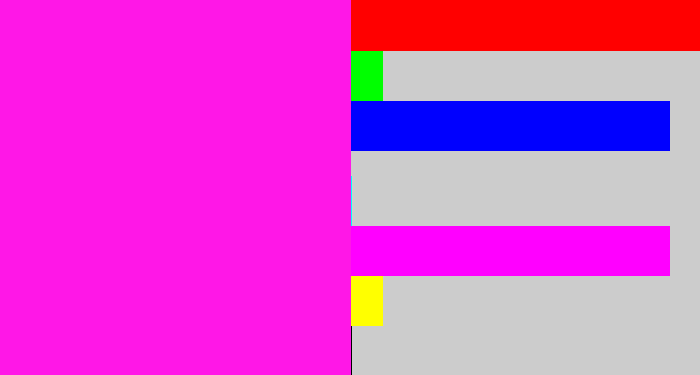 Hex color #ff17e7 - bright magenta