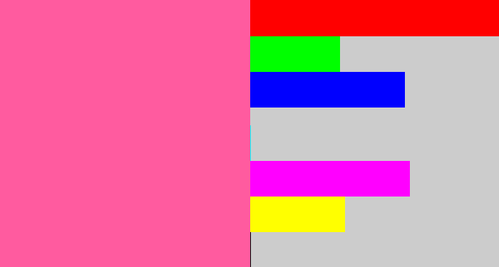 Hex color #ff5b9f - medium pink