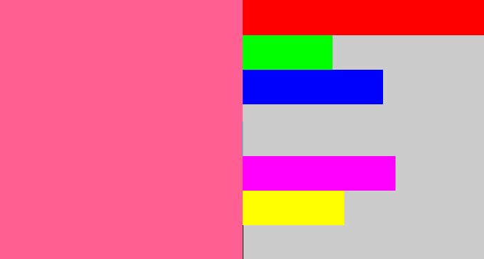 Hex color #ff5f93 - medium pink