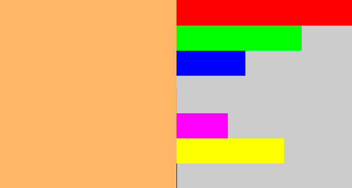 Hex color #ffb664 - apricot